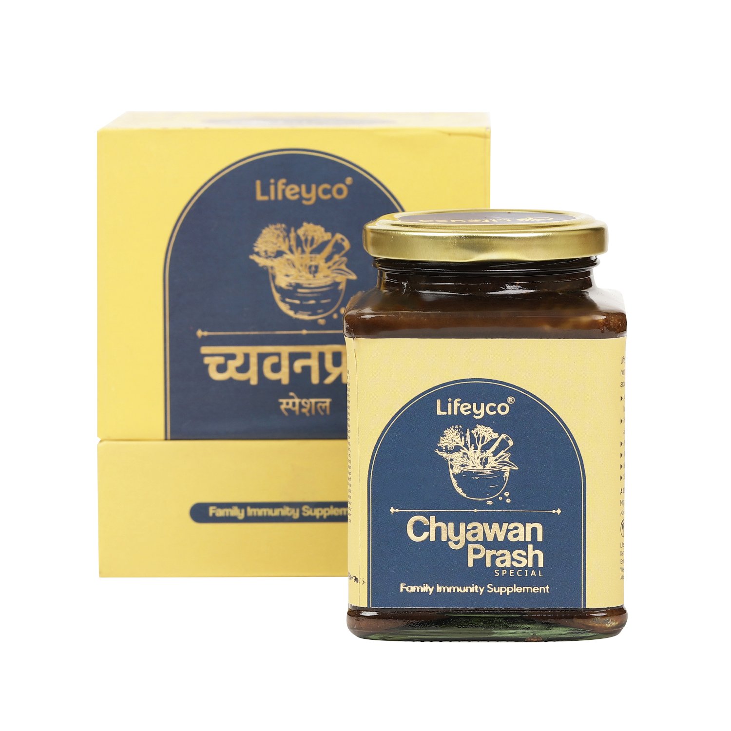 Lifeyco Chyawanprash Special - 500G